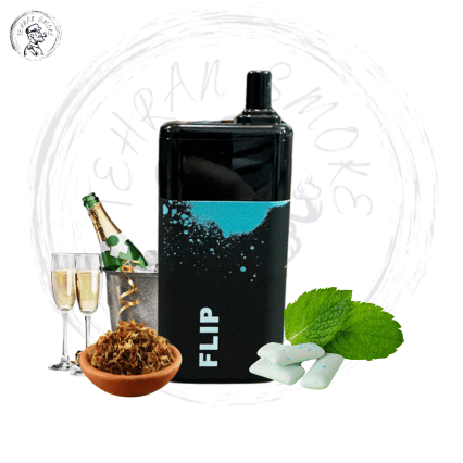 پاد یکبار مصرف تنباکو شامپاین / آدامس نعنا برو 5 هزار پاف GUM MINT/CHAMPAGE TOBACCO 3 پاد تنباکویی
